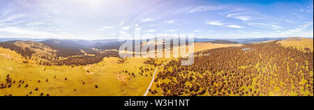 Panorama delle montagne di Altai su un estate giorno chiaro. Una vista panoramica della splendida fresco verde campo e Altai mountain sullo sfondo. Panorami Foto Stock