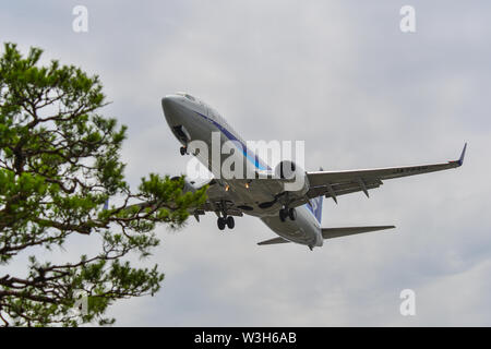 Osaka, Giappone - Giu 26, 2019. JA79un All Nippon Airways Boeing 737-800 in atterraggio a Osaka Itami Airport (ITM). Foto Stock