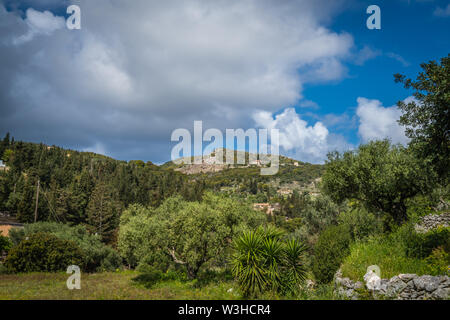 Vista della campagna verde nella regione di Askos di Zante o isola di Zante, Grecia Foto Stock