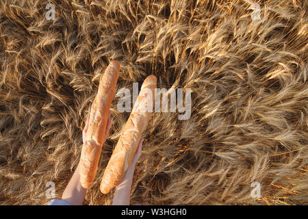 Due croccanti baguette francesi in le mani delle donne nel corso della maturazione le orecchie del giallo campo di grano, vista dall'alto. Foto Stock