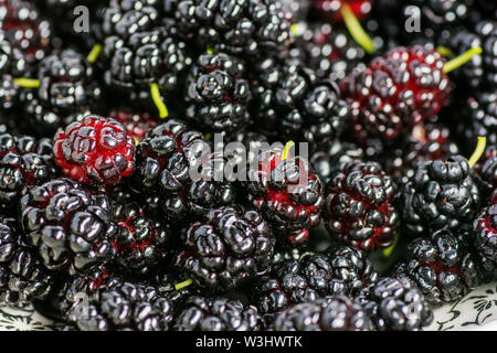 Mature e frutta fresca del gelso nero, cibo sano di succosa frutta di gelso. Close-up, la consistenza degli acini. Foto Stock