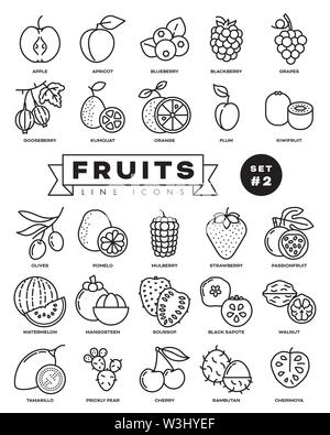 Raccolta di frutta contorno vettoriale icone. Illustrazione dei cibi sani provenienti da tutto il mondo. Set 2 di 3. Illustrazione Vettoriale