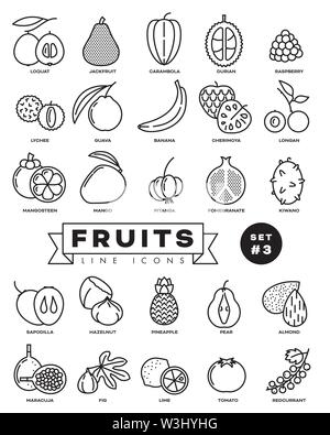 Raccolta di frutta contorno vettoriale icone. Illustrazione dei cibi sani provenienti da tutto il mondo. Set 3 di 3. Illustrazione Vettoriale