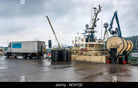 Crosshaven, Cork, Irlanda. 16 Luglio, 2019. Camionista, Gerry McGrath e trawler Buddy M membro dell'equipaggio Roger Murphy inizia a scaricare la sua cattura di eglefino e merlano sulla banchina in Crosshaven, Co. Cork, Irlanda. Credito: David Creedon/Alamy Live News Foto Stock