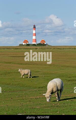 Pecore pascolano sulle barene, dietro il faro Westerhever, Westerhever, Schleswig-Holstein, Germania Foto Stock