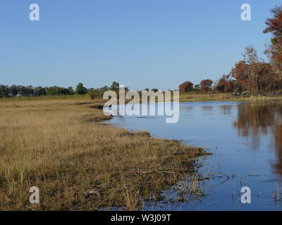 Kudu saltando in acqua inondato di Okavango Foto Stock