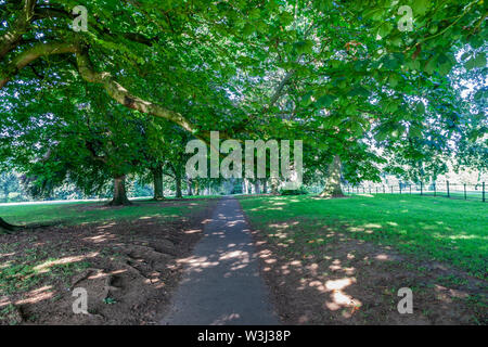 Northampton, Regno Unito. 16 Luglio, 2019. Meteo. Una mattinata calda e soleggiata in Abington Park. Credito: Keith J Smith./Alamy Live News Foto Stock