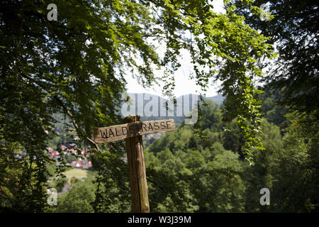 Cartello in legno nel bosco in una soleggiata giornata estiva Foto Stock