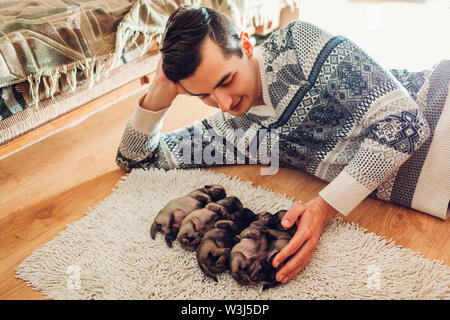 Master conta cinque pug cuccioli di cane dorme sul tappeto a casa. Piccoli cuccioli giacente insieme alle loro spalle Foto Stock