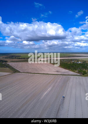 Antenna di un trattore coltivando il suolo intorno a un nuovo impianto di noci macadamia piantagione di alberi vicino a Childers Queensland Australia Foto Stock