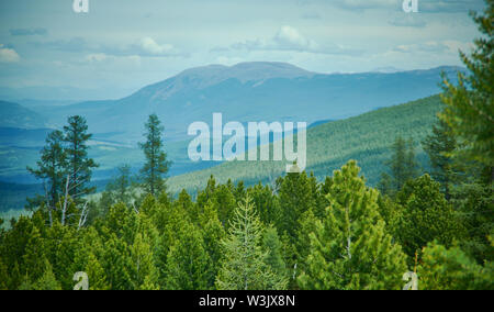 Pass Ulagansky, Altai Mountain Foto Stock