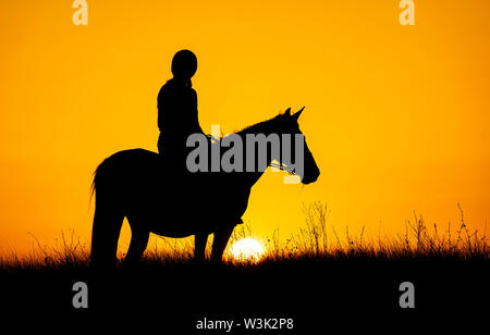 La Bulgaria Luglio 2019: Equitazione in montagna Saker cercando il Saka Falcon al tramonto uno dei più rapaci minacciati in Europa .Clifford Norton Alamy Foto Stock