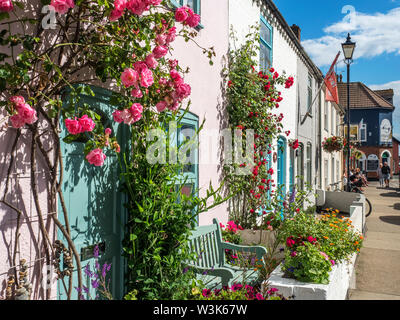 Rose rampicanti su cottage colorati lungo la High Street a Aldeburgh Suffolk in Inghilterra Foto Stock