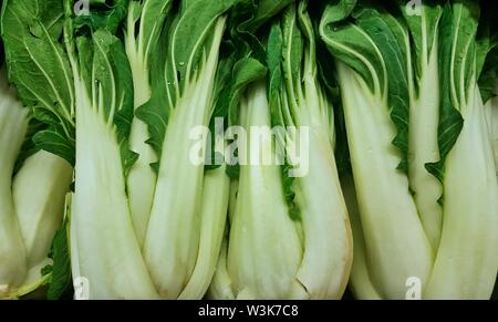 Un display di fresco verde Cavolo cinese ortaggi per la vendita su uno scaffale di supermercato. Esso deriva da Asia ed è popolare in cucina Cantonese. Foto Stock