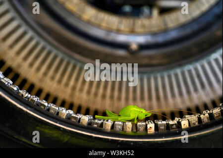 Macro shot di grasshopper (Acrididae) seduto sul typebars di un edificio storico della macchina da scrivere. Foto Stock