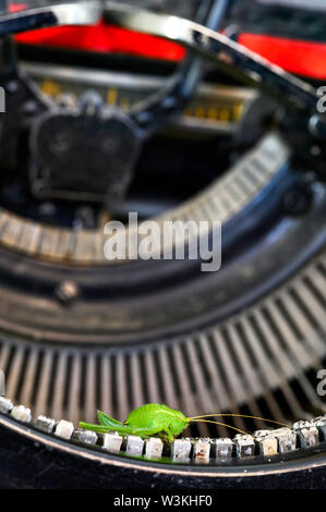 Macro shot di grasshopper (Acrididae) seduto sul typebars di un edificio storico della macchina da scrivere. Foto Stock