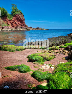 GB - DEVON: Watcombe beach vicino a Babbacombe (HDR- immagine) Foto Stock