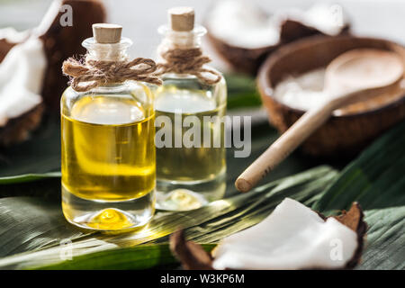 Messa a fuoco selettiva di bottiglie con olio di noce di cocco vicino incrinato noci di cocco sul verde foglie di palmo Foto Stock