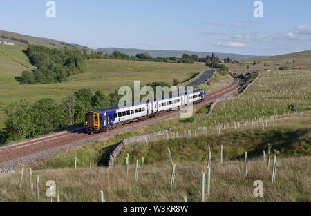 Arriva Nord classe rampa 158 sprinter treno passa Ais Gill (nord di Garsdale) sull'accontentarsi di Carlisle linea ferroviaria Foto Stock