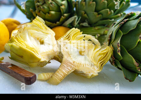 Preparazione di capi di crudo fresco carciofi verdi piante da piantagione di carciofo, nuovo raccolto in Argolide, Grecia, pronto a cucinare con limone fresco Foto Stock