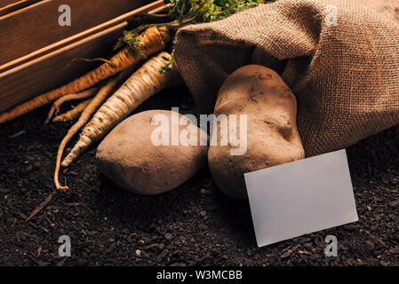 Agricoltura biologica di prezzemolo e patate con business card mock up caserecci vegetali di produzione alimentare Foto Stock