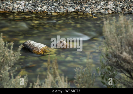Una lunga esposizione shot di rocce in fiume Foto Stock