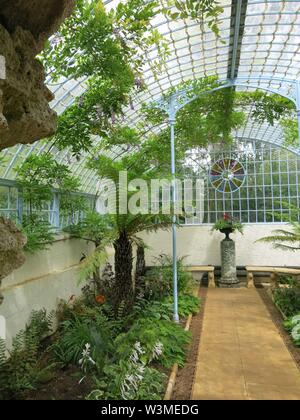 Foto della grotta e fernery nel Giardino svizzera a Shuttleworth, che mostra la struttura di serra, vetrate, pulhamite rock e felci arboree. Foto Stock