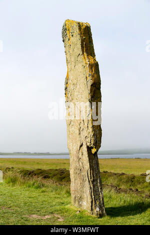 Una pietra permanente di parte dell'anello di Brodgar, un neolitico antico cerchio di pietra sulle isole Orcadi Scozia, Regno Unito. Foto Stock