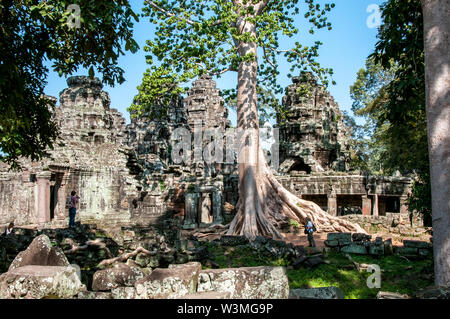 Spettacolare radici crescere tra le pietre in Ta Prohm tempio di Angkor Wat Foto Stock