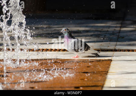 Duchas callajeras en tiempos calurosos. Foto Stock