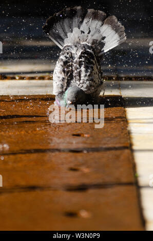 Duchas callajeras en tiempos calurosos. Foto Stock