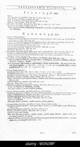 Cleome-Hortus Cliffortianus-P341. Foto Stock