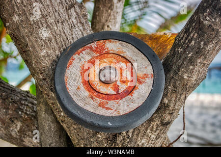 Questa singolare mostra fotografica di una vecchia ruota in legno su un albero. la ruota è stata danneggiata dalle condizioni meteorologiche e del mare. La foto è stata scattata in Maldive Foto Stock