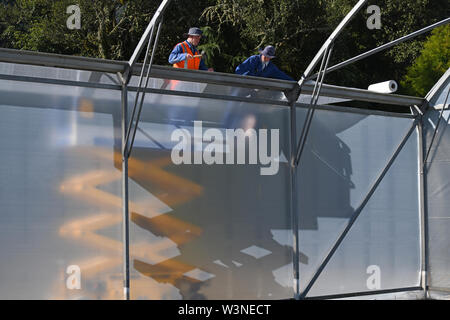 Greymouth, Nuova Zelanda, dicembre 12, 2018: Commercianti fissare la plastica su un nuovo tunnel house. Foto Stock
