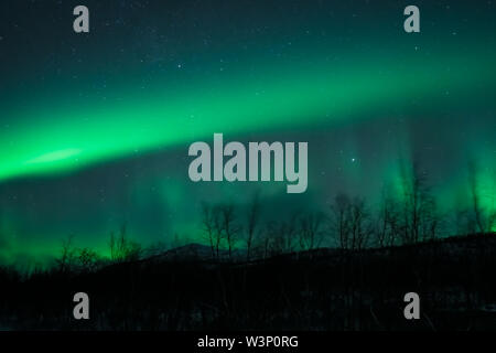 Fantastico display aurora boreale luci del nord in Norvegia e Finlandia Foto Stock