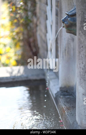 Fontana a forma di testa in bronzo di un leone nel parco Foto Stock