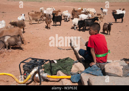 Ragazzi acqua la famiglia caprini in corrispondenza di un pozzetto nel Deserto del Gobi, Mongolia Foto Stock