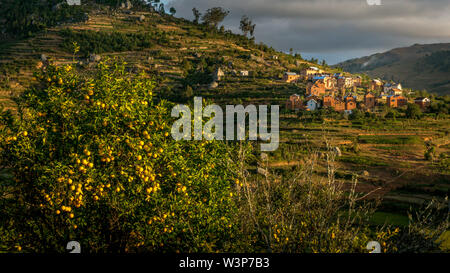 Ricefields e tradizionale Betsileo case sul Madagascar highlands, vicino ad Ambositra, sulla principale N7 road. Foto Stock