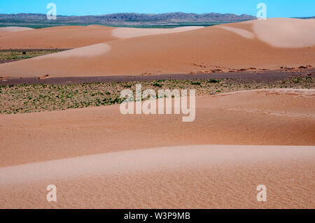 Moltzog Els dune di sabbia del deserto del Gobi e Mongolia Foto Stock