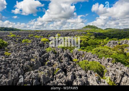 Robusto paesaggio carsico, Tsingy de Ankarana, Ankarana National Park, drone shot, Madagascar settentrionale, Madagascar Foto Stock
