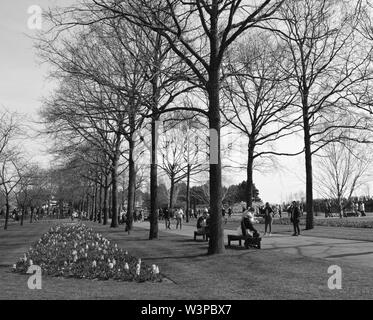 Una foto in bianco e nero per giardino Keukenhof a Amsterdam, Paesi Bassi Foto Stock