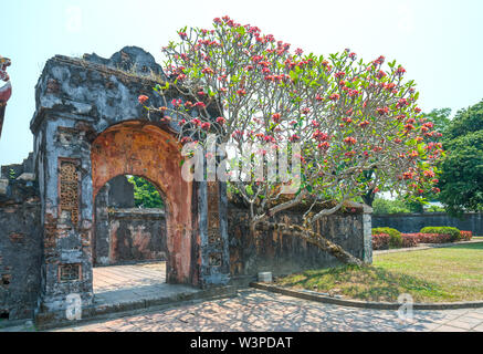 Porta vecchia cittadella proibita in tinta, Vietnam. Foto Stock