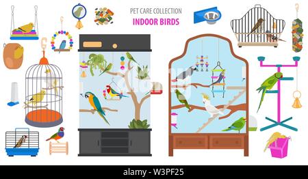 Apparecchio di Pet il set di icone di stile di piatto isolato su bianco. Uccelli raccolta di cura. Per creare il proprio una infografica circa parrot, parrocchetto, Canarie, tordi, finch, jay Illustrazione Vettoriale