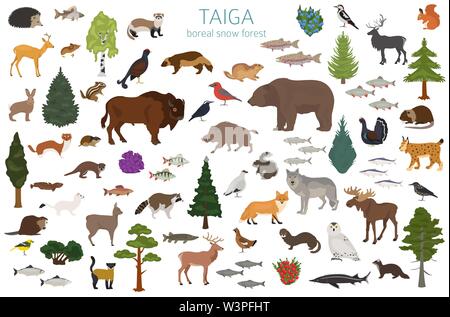 La Taiga biome, boreale foresta di neve. Ecosistema terrestre mappa del mondo. Animali, uccelli, pesci e piante ed infografico design. Illustrazione Vettoriale Illustrazione Vettoriale