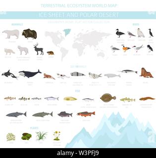 Lastra di ghiaccio polare e desert biome. Ecosistema terrestre mappa del mondo. Arctic animali, uccelli, pesci e piante ed infografico design. Illustrazione Vettoriale Illustrazione Vettoriale