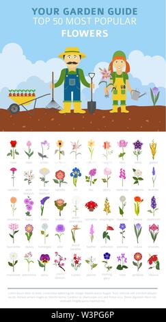 Il vostro giardino guida. Top 50 più popolari ed infografico fiori. Illustrazione Vettoriale Illustrazione Vettoriale