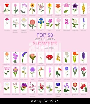 Il vostro giardino guida. Top 50 più popolari ed infografico fiori. Illustrazione Vettoriale Illustrazione Vettoriale