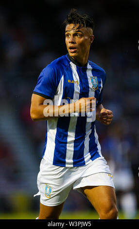 Sheffield mercoledì in Joey Pelupessy durante la pre-stagione amichevole al PTS Academy Stadium Foto Stock