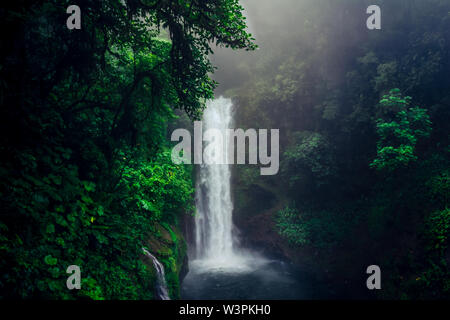 Bella e selvaggia cascata nel mezzo della giungla verde in Costa Rica. Foto Stock