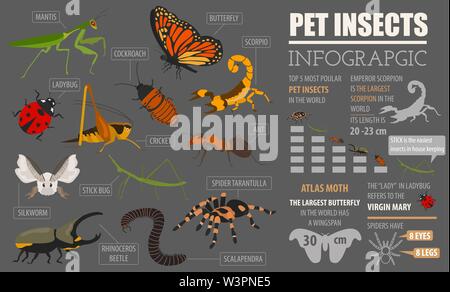 Pet razze di insetti il set di icone di stile di piatto isolato su bianco. Casa mantenendo i bug, coleotteri, bastoncini, ragni e altre collezioni. Per creare il proprio una infografica ab Illustrazione Vettoriale